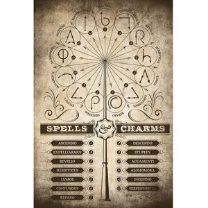 Grupo Erik Poster Harry Potter Spells and Charms 61x91,5cm Grupo Erik Poster Harry Potter Spells and Charms 61x91,5cm