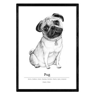 Affiche NACNIC Pug - Art moderne pour chiens A4 - Publicité Affiche NACNIC Pug - Art moderne pour chiens A4 - Publicité