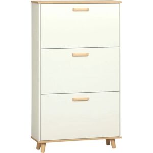 Armario de zapatos moderno Homcom con 3 cajones - 12 pares Armario de zapatos moderno Homcom con 3 cajones - 12 pares