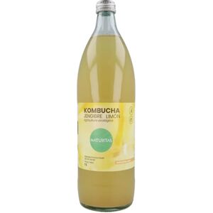 Kombucha Jengibre Limón de Naturitas - Bebidas Kombucha Jengibre Limón de Naturitas - Bebidas