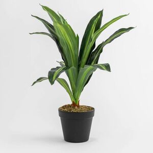 SKLUM Dracaena Künstliche Pflanze - 40 cm - Dekorativ SKLUM Dracaena Künstliche Pflanze - 40 cm - Dekorativ