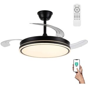 Ventilatore a soffitto WONDERLAMP Miso - 6 velocità - Nero - Ventilatore da soffitto Ventilatore a soffitto WONDERLAMP Miso - 6 velocità - Nero - Ventilatore da soffitto