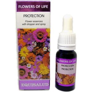Equisalud Flower of Life Affective Losses Floral Elixir - 15ml Equisalud Flower of Life Affective Losses Floral Elixir - 15ml