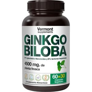 Vermont Supplements Ginkgo biloba - 90 Vegetables Capsules Vermont Supplements Ginkgo biloba - 90 Vegetables Capsules
