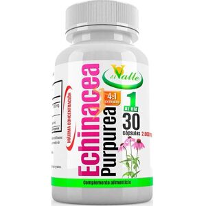 El Valle Equinacea 30 Capsules - Dietary supplement El Valle Equinacea 30 Capsules - Dietary supplement