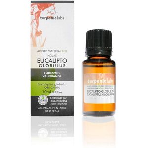 Terpenic Eucalyptus Globulus Essential Oil - Essential Oil Terpenic Eucalyptus Globulus Essential Oil - Essential Oil