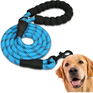 EDIPETS Nylon Halsband & Lijn - Reflecterend, Verstelbaar, voor Honden EDIPETS Nylon Halsband & Lijn - Reflecterend, Verstelbaar, voor Honden