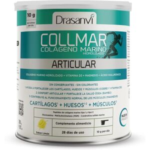 Drasanvi Colágeno Limón - Complemento Alimenticio Drasanvi Colágeno Limón - Complemento Alimenticio