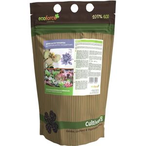 CULTIVERS Fertilisant Organique pour Cactus et Suculentes - 1kg - Publicité CULTIVERS Fertilisant Organique pour Cactus et Suculentes - 1kg - Publicité