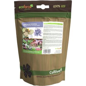 Engrais Organique Cultivers pour Cactus et Suculentes - 250g - Publicité Engrais Organique Cultivers pour Cactus et Suculentes - 250g - Publicité