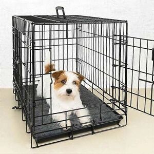 Tapis absorbant pour chiens Ibanez - Tapis pour chiens Tapis absorbant pour chiens Ibanez - Tapis pour chiens