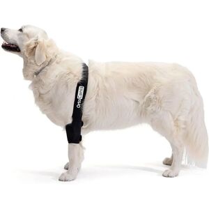 Protection de Coude pour Chiens ORTOCANIS - Réglable pour Arthrite & Blessures - Publicité Protection de Coude pour Chiens ORTOCANIS - Réglable pour Arthrite & Blessures - Publicité