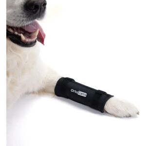 Support Poignet pour Chien ORTOCANIS - Réglable Post-Chirurgie - Publicité Support Poignet pour Chien ORTOCANIS - Réglable Post-Chirurgie - Publicité