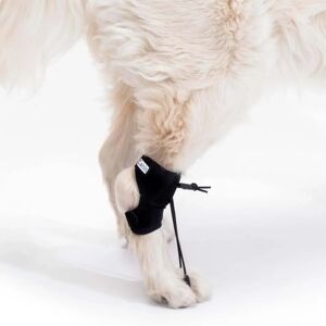 Correcteur Propioceptif ORTOCANIS - Dispositif pour Chiens - Publicité Correcteur Propioceptif ORTOCANIS - Dispositif pour Chiens - Publicité