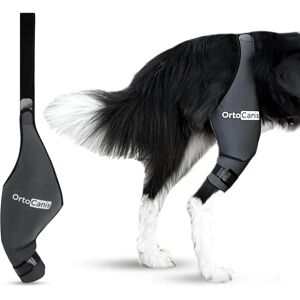 Support de genou pour chiens Ortocanis - Soutien, réduction de l'inflammation & récupération - Publicité Support de genou pour chiens Ortocanis - Soutien, réduction de l'inflammation & récupération - Publicité