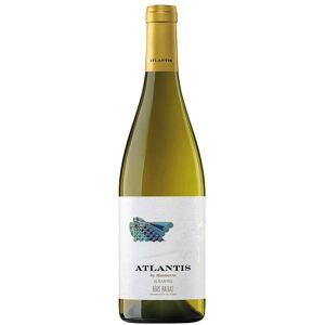 Maetierra Atlantis Albariño 2021 - Vino Bianco Maetierra Atlantis Albariño 2021 - Vino Bianco