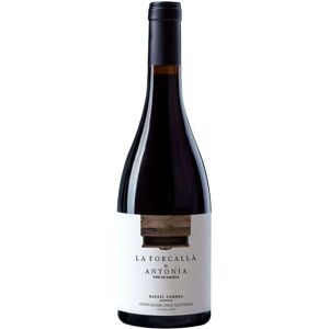 Rafael Cambra La Forcallà de Antonia 2021-23 - Wein Rafael Cambra La Forcallà de Antonia 2021-23 - Wein