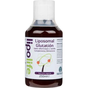 Equisalud Liposomal Glutathione - Apricot Vanilla - Supplement Equisalud Liposomal Glutathione - Apricot Vanilla - Supplement