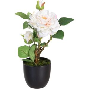 BigBuy Home Pink Dekorative Pflanze - Dekorativ Pflanze BigBuy Home Pink Dekorative Pflanze - Dekorativ Pflanze