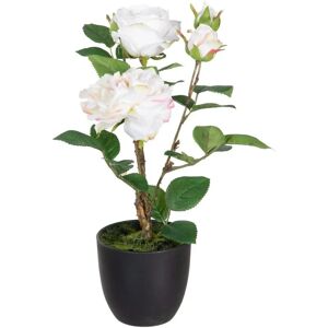 BigBuy Decoratieve Plant Roze - Decoratieve Plant BigBuy Decoratieve Plant Roze - Decoratieve Plant