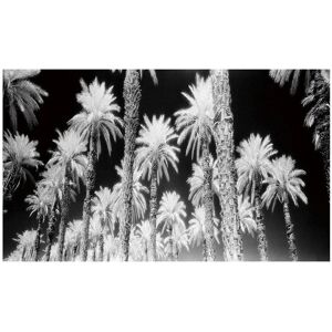 BigBuy Home Leinwand Palmen 120 x 4 x 70 cm - Wandkunst BigBuy Home Leinwand Palmen 120 x 4 x 70 cm - Wandkunst