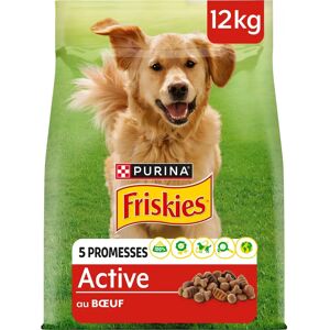 PURINA Friskies Adult Dog Active Bœuf - 12kg - Publicité PURINA Friskies Adult Dog Active Bœuf - 12kg - Publicité