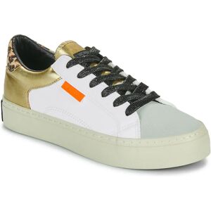 D.Franklin Gold Sneakers - Half Moon Low Nap Gold - Größe 37 D.Franklin Gold Sneakers - Half Moon Low Nap Gold - Größe 37