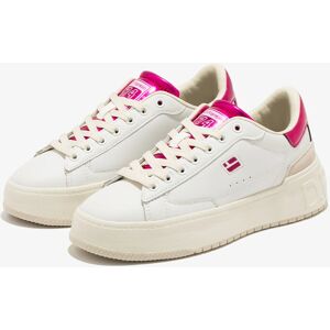 D.Franklin Lila Court Tennis Sneakers - Schuhe D.Franklin Lila Court Tennis Sneakers - Schuhe