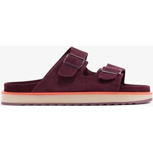D.Franklin Nordic Sandal Burgundy - Sandales Élégantes, Réglables, Légères - Publicité D.Franklin Nordic Sandal Burgundy - Sandales Élégantes, Réglables, Légères - Publicité
