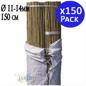 SUINGA Pioli di Bambù - 150cm, 11-14mm, Confezione 150 SUINGA Pioli di Bambù - 150cm, 11-14mm, Confezione 150