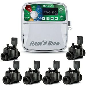 Rain Bird ESP-TM2 Bewässerungssteuerung - 6 Zonen, 6 Ventile Rain Bird ESP-TM2 Bewässerungssteuerung - 6 Zonen, 6 Ventile