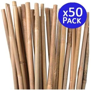 SUINGA Bambusstützen - 50 Stück, natürlich, 105cm SUINGA Bambusstützen - 50 Stück, natürlich, 105cm