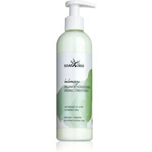 Soaphoria Hair Care Organic Conditioner - Après-shampooing Organique pour Cheveux Gras - 250 ml Soaphoria Hair Care Organic Conditioner - Après-shampooing Organique pour Cheveux Gras - 250 ml