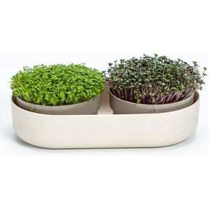 Sada mikrogreens Urbalive - Varianty pro Regrow & Microgreens Sada mikrogreens Urbalive - Varianty pro Regrow & Microgreens