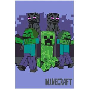 Koc Minecraft Creeper Wielobarwny - 100x150 cm Koc Minecraft Creeper Wielobarwny - 100x150 cm