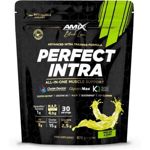 Amix Perfect Intra 870 G - Melón y Kiwi - Pre-workout Supplement Amix Perfect Intra 870 G - Melón y Kiwi - Pre-workout Supplement