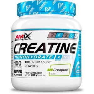Amix Nutrition Creapure Creatine - 300g Performance Supplement Amix Nutrition Creapure Creatine - 300g Performance Supplement