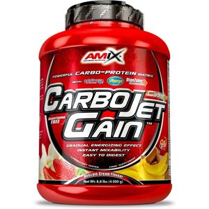 Amix Nutrition Carbojet Gain 4kg - Protein Powder Amix Nutrition Carbojet Gain 4kg - Protein Powder