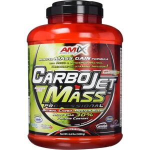 Amix Nutrition CarboJet Mass Professional - Chocolate - Diet Supplement Amix Nutrition CarboJet Mass Professional - Chocolate - Diet Supplement
