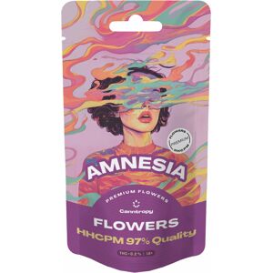 Canntropy Amnesie 97% Cannabisblüte Canntropy Amnesie 97% Cannabisblüte