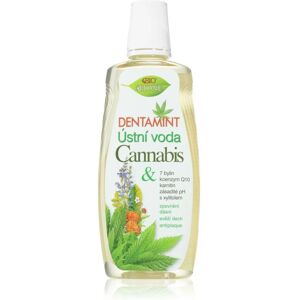 Bione Dentamint Cannabis Mouthwash - Mouthwash Bione Dentamint Cannabis Mouthwash - Mouthwash