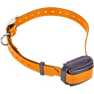 Vízálló tréningnyakör Dogtrace D-Control professional mini - Könnyű, állítható, európai minőség Vízálló tréningnyakör Dogtrace D-Control professional mini - Könnyű, állítható, európai minőség