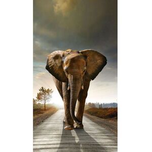 AG Design Cortina Elefante 7507 - Decoración para Ventanas AG Design Cortina Elefante 7507 - Decoración para Ventanas