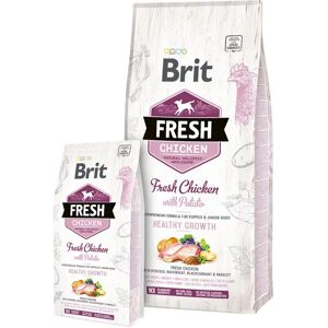 Brit Modell - Huhn, Kartoffel Hundefutter - Hundfutter Brit Modell - Huhn, Kartoffel Hundefutter - Hundfutter