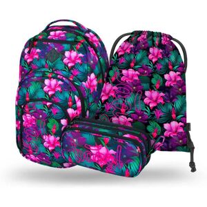 BAAGL SADA 3 Set Rucsac Școlar BAAGL SADA 3 Set Rucsac Școlar