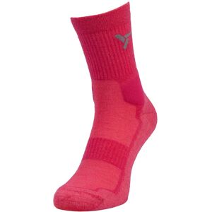 Silvini Lattari Socken Pink - Socken Silvini Lattari Socken Pink - Socken