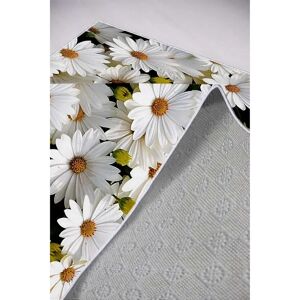 Conceptum Hypnose Covor de hol - 100 x 150 - Covor de hol Conceptum Hypnose Covor de hol - 100 x 150 - Covor de hol