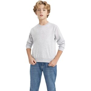 DEFACTO Pojke Regular Fit Rundhals Tröja - Tröja DEFACTO Pojke Regular Fit Rundhals Tröja - Tröja