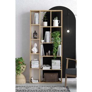 Hanah Home Demios Saphir Eiche Bücherregal - Regal Hanah Home Demios Saphir Eiche Bücherregal - Regal