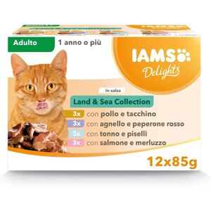 Nikon D3500 DSLR Camera - Compact Photography Tool Nikon D3500 DSLR Camera - Compact Photography Tool